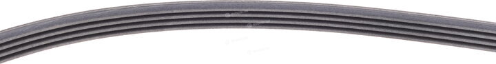 Continental 4PK916 ELAST