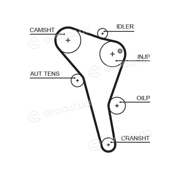 Gates K015622XS