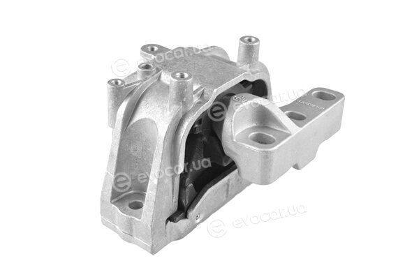 Tedgum TED82685