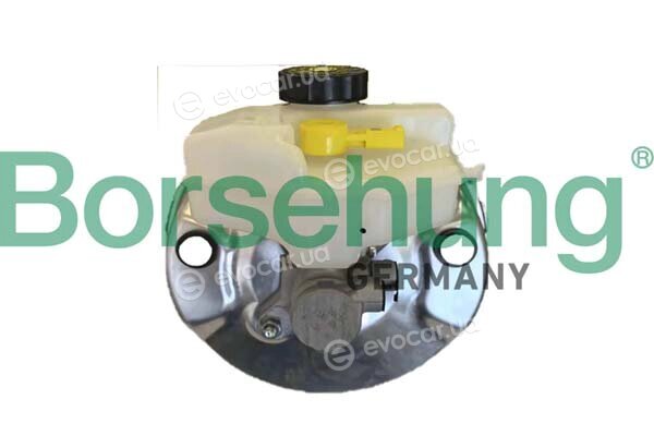 Borsehung B12538