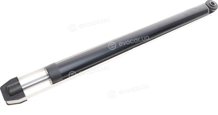 Solgy 211312