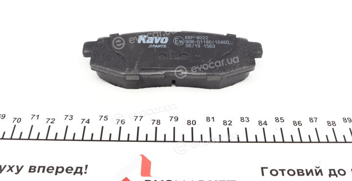 Kavo KBP-8022