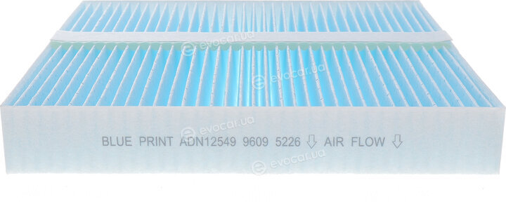Blue Print ADN12549