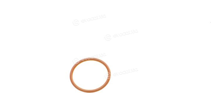 Bosch F 00V P01 005