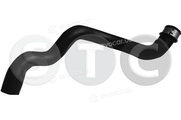 Metalcaucho / STC T497803
