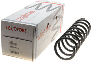 Lesjofors 4208448