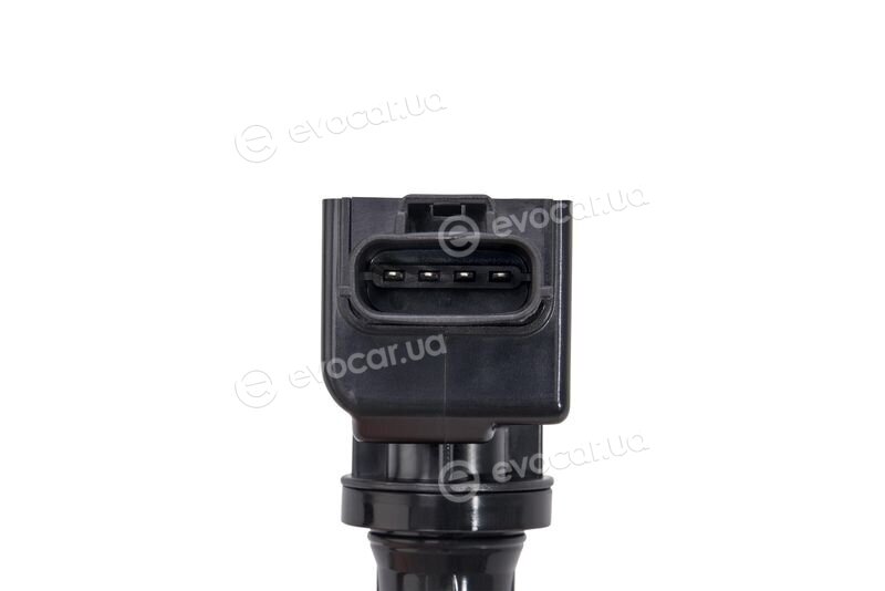 BorgWarner ZSE239