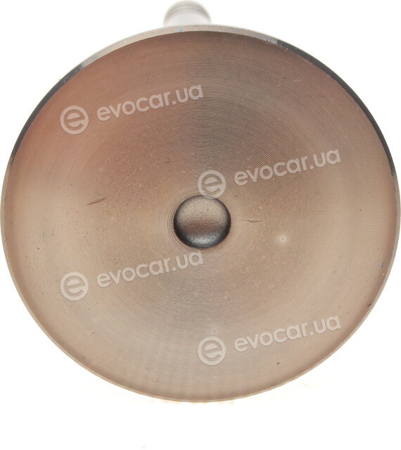 AMP PVWG029-S-0-N