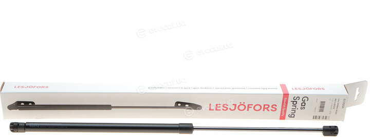 Lesjofors 8159224