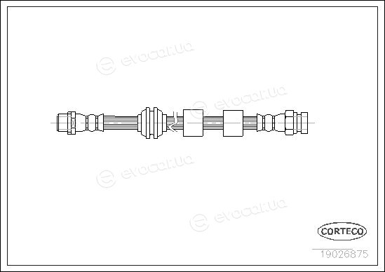 Corteco 19026875