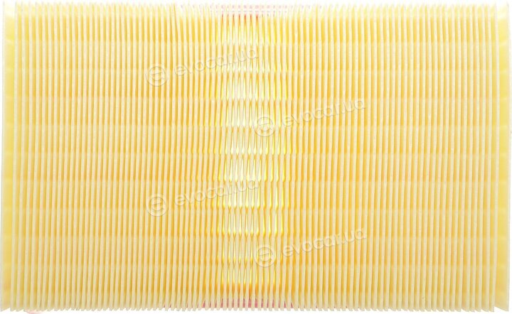 Solgy 103164