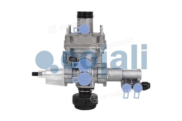 Cojali 2220460