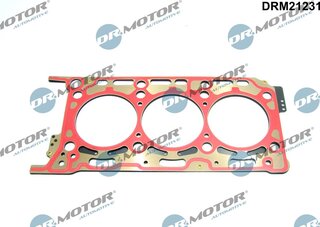 Dr. Motor DRM21231