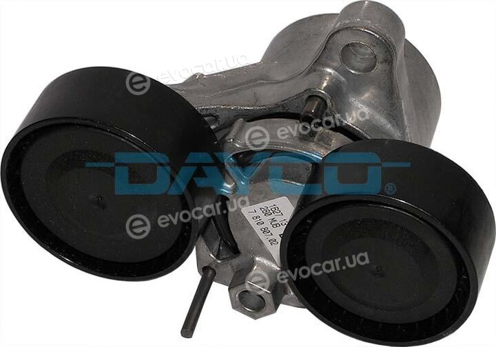 Dayco APV2844