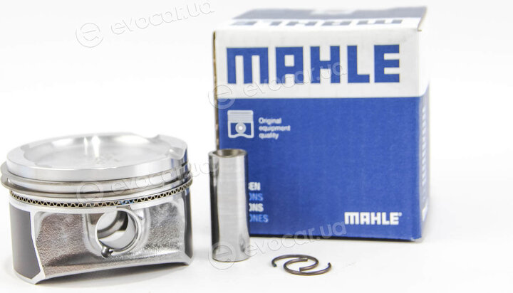 Mahle 030 64 01