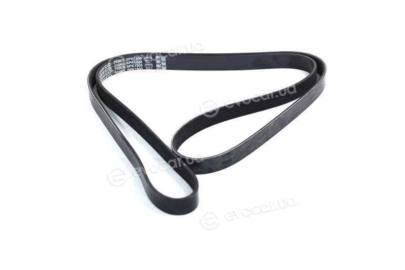 Dayco 6PK1805