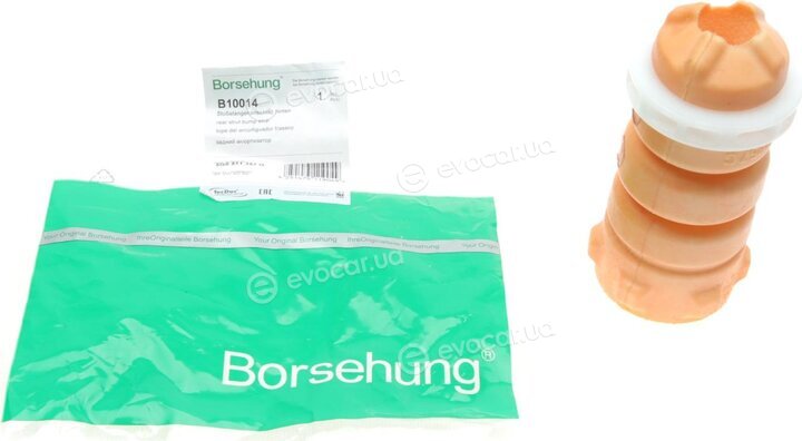 Borsehung B10014