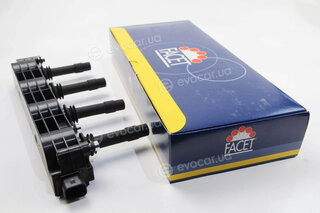 Facet 9.6299