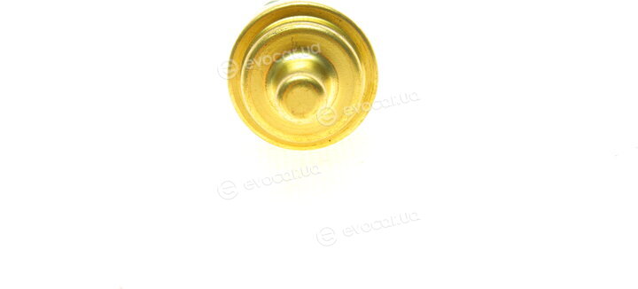 Borsehung B13132