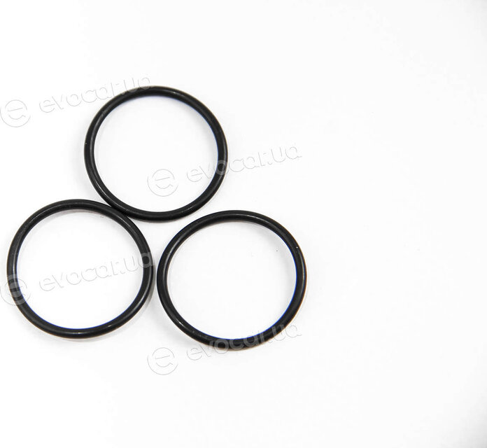 Elring 268.030