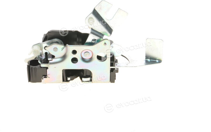 Solgy 305055