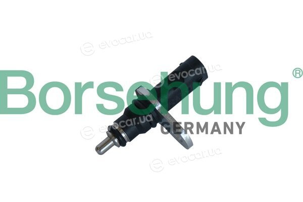 Borsehung B11863