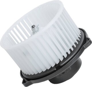 Bapmic TOPT1151017