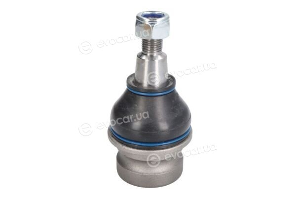 Reinhoch RH03-0041