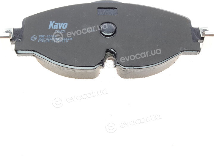 Kavo KBP-10002