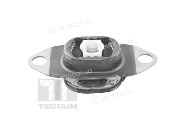 Tedgum TED46913