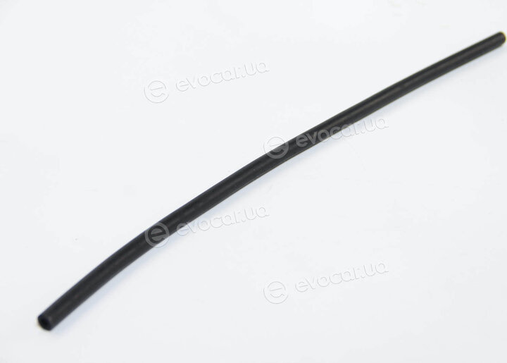 Rapro R19219