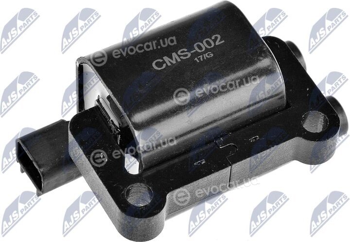 NTY ECZ-MS-002