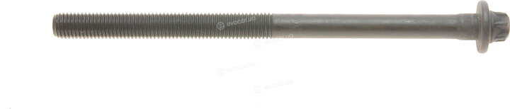 Elring 258.920