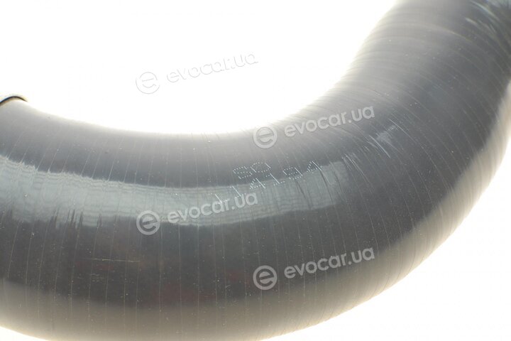 Solgy 114194