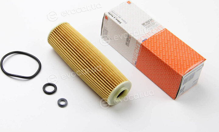 Mahle OX 183/5D1