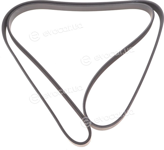 Dayco 5PK1800