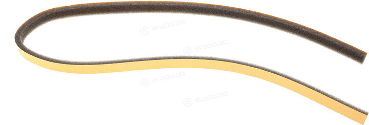 Van Wezel 58006296