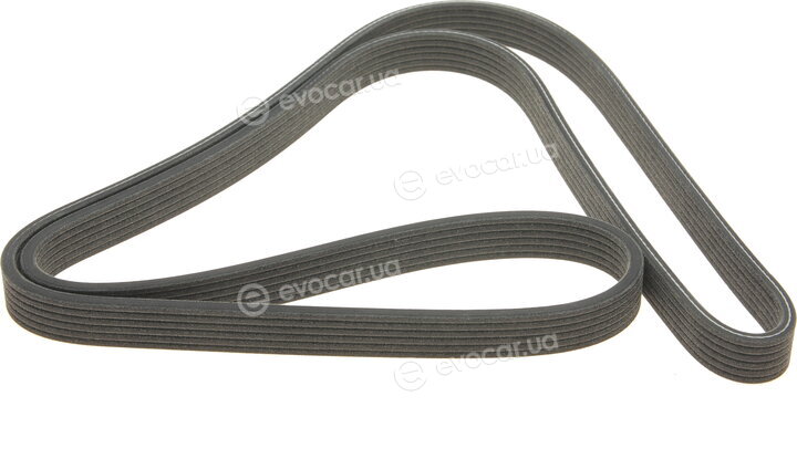 Dayco 6DPK1698