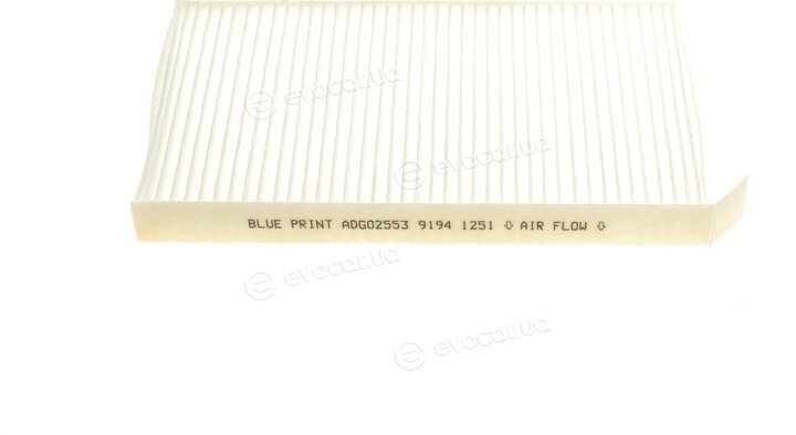 Blue Print ADG02553