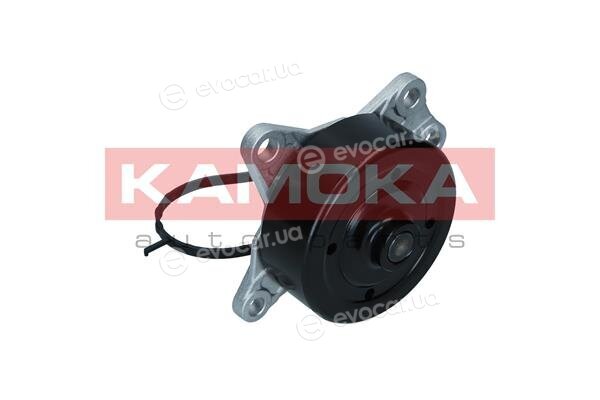Kamoka T0088