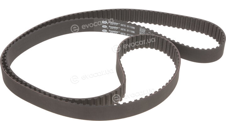Gates KP25557XS-1