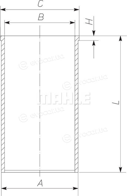 Mahle 004 WV 14 00