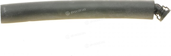 AIC 55082