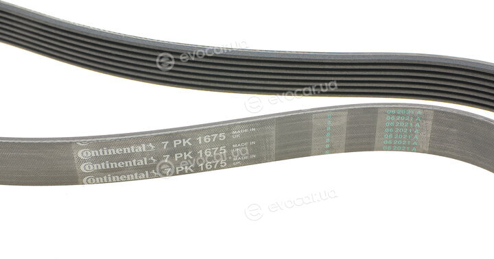 Continental 7PK1675