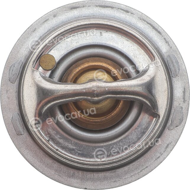 Motorad 480-88K
