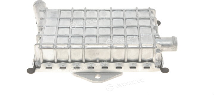 Solgy 112003