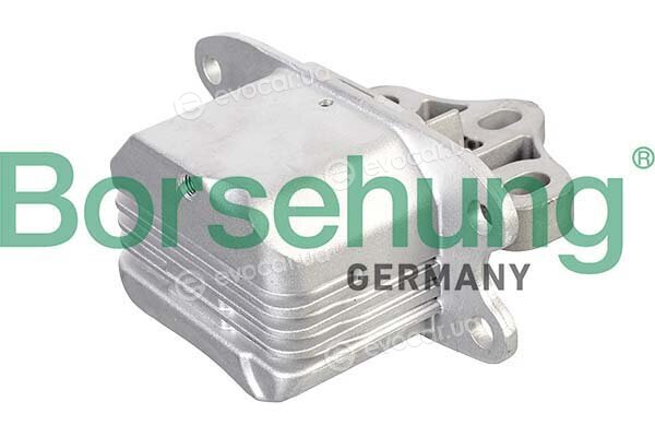 Borsehung B12637