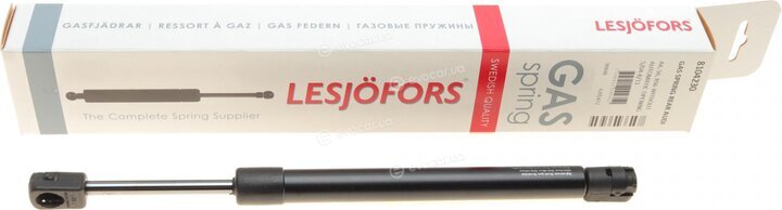 Lesjofors 8104230