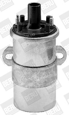 BorgWarner ZS118