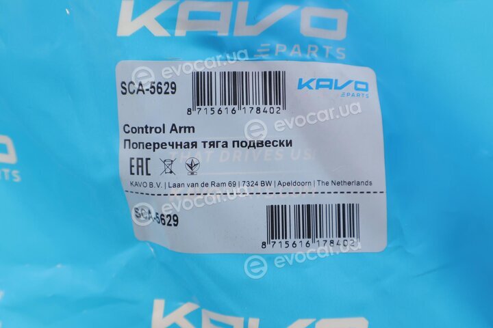 Kavo SCA-5629